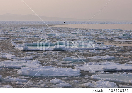 日の出の流氷 日の出の流氷 102328586