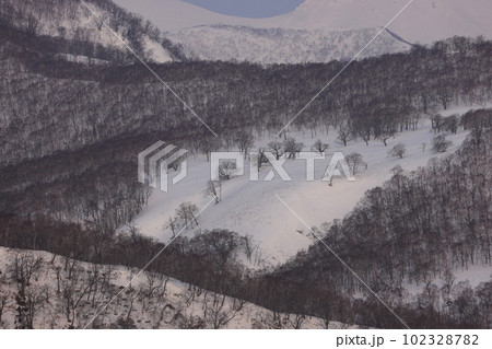 冬の羅臼岳 102328782