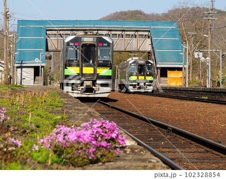 芝桜が咲く春の蘭島駅 芝桜が咲く春の蘭島駅 102328854