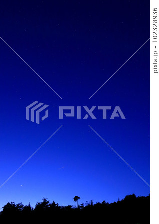 夜空に浮かび上がる一本松 102328936