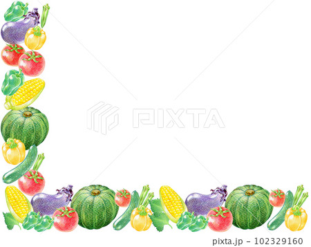 夏野菜の色鉛筆画の長方形フレームのイラスト素材 [102329160] - PIXTA