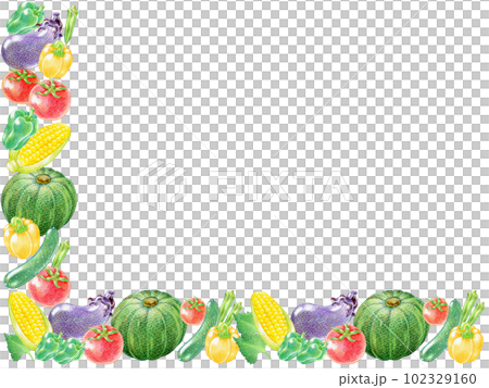 夏野菜の色鉛筆画の長方形フレーム 102329160