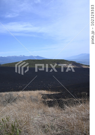 霧ヶ峰高原火災現場 霧ヶ峰高原火災現場 102329383