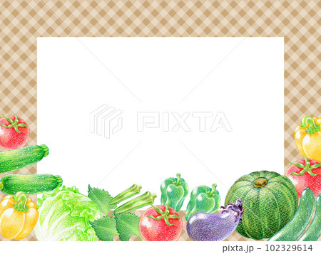 夏野菜の色鉛筆画の長方形フレーム　チェック柄背景 102329614