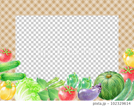 夏野菜の色鉛筆画の長方形フレーム　チェック柄背景 102329614