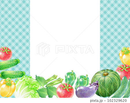 夏野菜の色鉛筆画の長方形フレーム チェック柄背景 夏野菜の色鉛筆画の長方形フレーム チェック柄背景 102329620