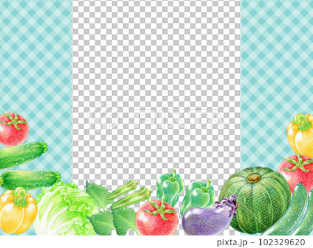 Rectangular frame of colored pencil drawing of summer vegetables Plaid background Rectangular frame of colored pencil drawing of summer vegetables Plaid background 102329620