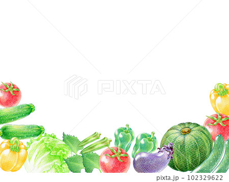 夏野菜の色鉛筆画の長方形フレーム 夏野菜の色鉛筆画の長方形フレーム 102329622