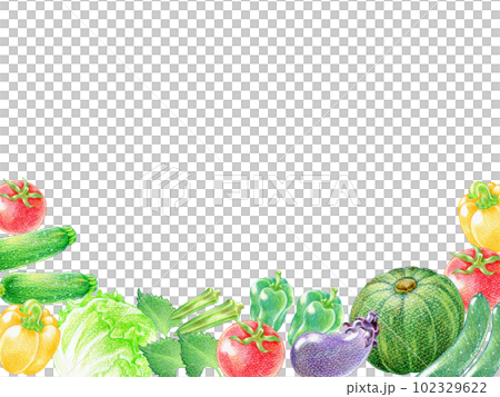 夏野菜の色鉛筆画の長方形フレーム 夏野菜の色鉛筆画の長方形フレーム 102329622
