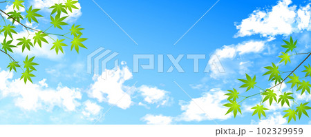 雲が美しい夏の空と青もみじの背景イラスト 102329959