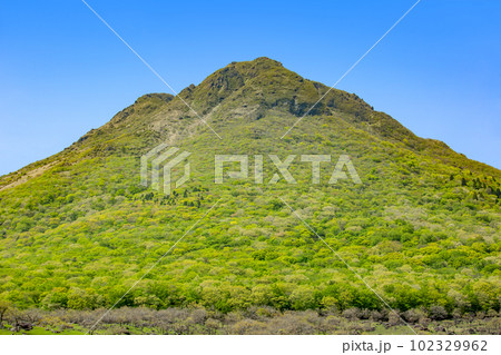 新緑の由布岳登山口から 102329962