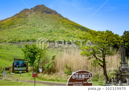 新緑の由布岳登山口から 新緑の由布岳登山口から 102329970