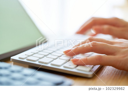 ノートパソコンを操作する女性の手元 ノートパソコンを操作する女性の手元 102329982