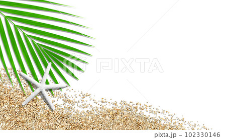 白いヒトデと砂珊瑚と椰子の葉、ビーチイメージの切抜き背景 102330146
