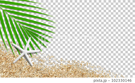 白いヒトデと砂珊瑚と椰子の葉、ビーチイメージの切抜き背景 102330146