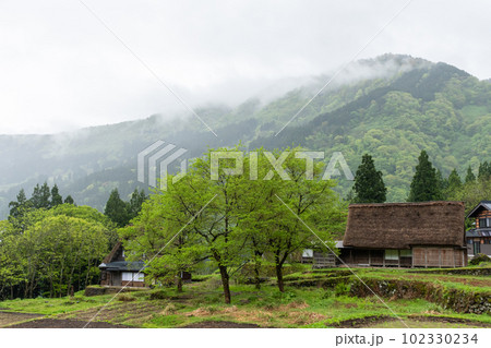 五箇山・相倉合掌造り集落の朝 五箇山・相倉合掌造り集落の朝 102330234