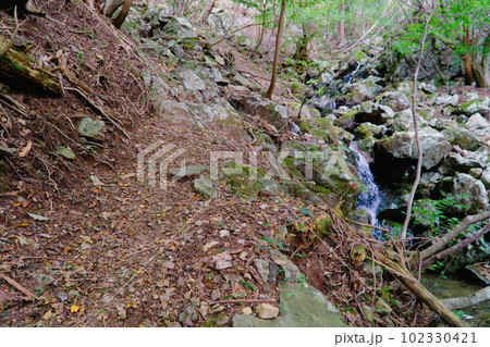 岡山県最高峰の後山への東粟倉ルートの登山道とせせらぎ 岡山県美作市 岡山県最高峰の後山への東粟倉ルートの登山道とせせらぎ 岡山県美作市 102330421