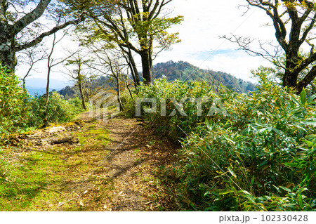 船木山山頂から後山への登山道1　岡山県美作市・兵庫県宍粟市 102330428