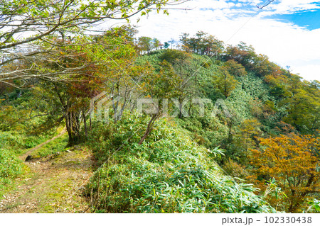 船木山と後山の登山道と後山2 岡山県美作市・兵庫県宍粟市 船木山と後山の登山道と後山2 岡山県美作市・兵庫県宍粟市 102330438