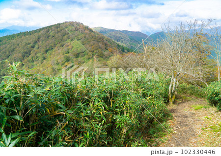 船木山と後山の登山道から見た船木山3 岡山県美作市・兵庫県宍粟市 船木山と後山の登山道から見た船木山3 岡山県美作市・兵庫県宍粟市 102330446