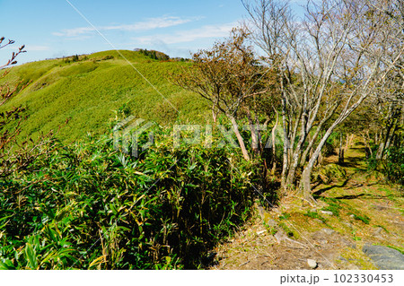 船木山と駒の尾山を結ぶ登山道と駒の尾山 岡山県美作市・兵庫県宍粟市 船木山と駒の尾山を結ぶ登山道と駒の尾山 岡山県美作市・兵庫県宍粟市 102330453