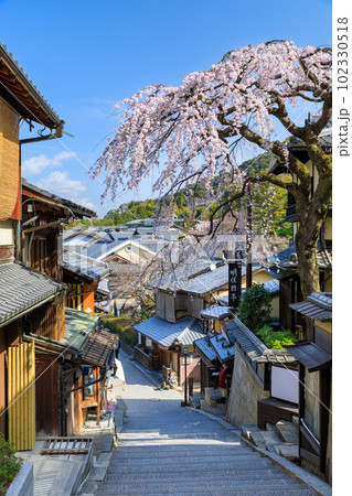 京都_産寧坂(三年坂)に咲く満開の枝垂れ桜 京都_産寧坂(三年坂)に咲く満開の枝垂れ桜 102330518