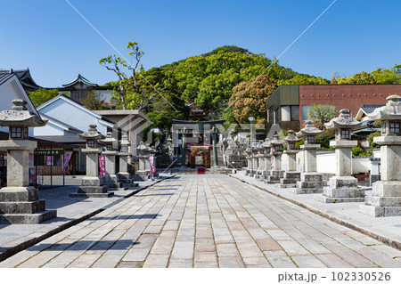 新緑の防府天満宮 山口県防府市 新緑の防府天満宮 山口県防府市 102330526