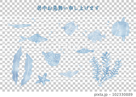 夏季賀卡魚和海藻的海圖 102330889