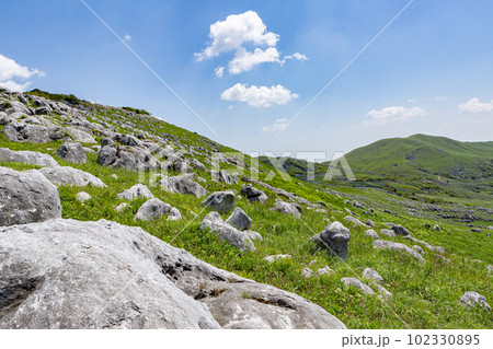 北九州国定公園平尾台　福岡県北九州市 102330895