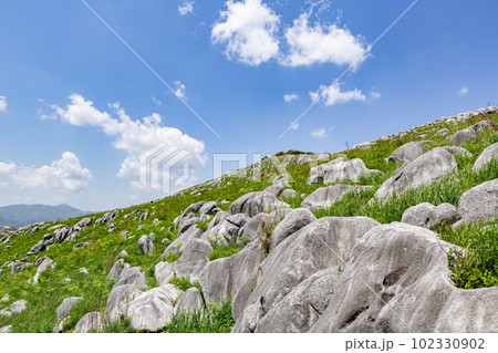 北九州国定公園平尾台 福岡県北九州市 北九州国定公園平尾台 福岡県北九州市 102330902