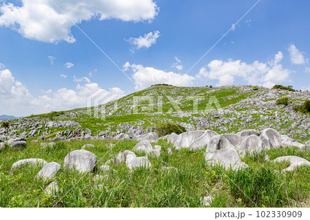 北九州国定公園平尾台　福岡県北九州市 102330909