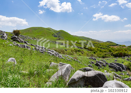 北九州国定公園平尾台 福岡県北九州市 北九州国定公園平尾台 福岡県北九州市 102330912