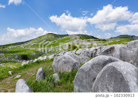 北九州国定公園平尾台　福岡県北九州市 102330913