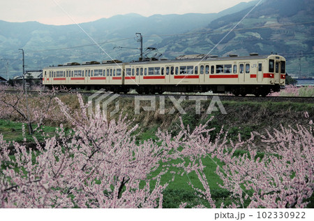 和歌山線　春の大谷駅付近を走る105系電車 102330922