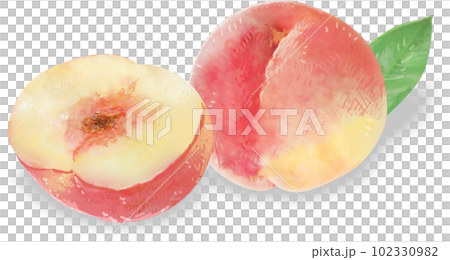 Illustration of a peach with a sweet scent Illustration of a peach with a sweet scent 102330982