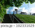 青森県 日本の夏 102331029