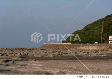 千畳敷海岸 102331034