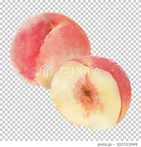 Illustration of a peach with a sweet scent 102331049