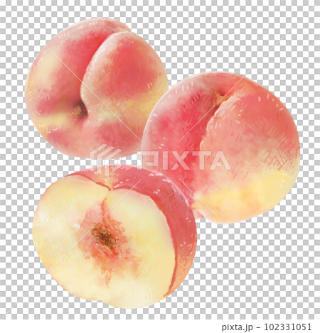 Illustration of a peach with a sweet scent 102331051