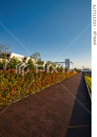 東京 豊洲市場及びレインボーブリッジの風景 東京 豊洲市場及びレインボーブリッジの風景 102331279
