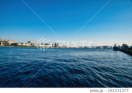 東京　豊洲市場及びレインボーブリッジの風景 102331377