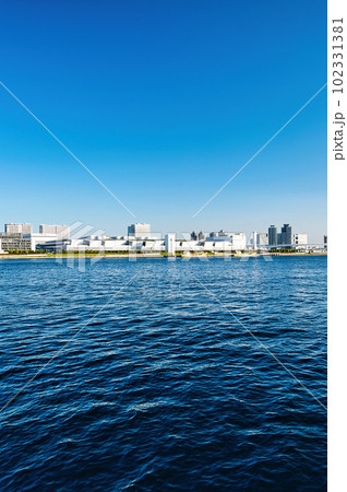 東京 豊洲市場及びレインボーブリッジの風景 東京 豊洲市場及びレインボーブリッジの風景 102331381