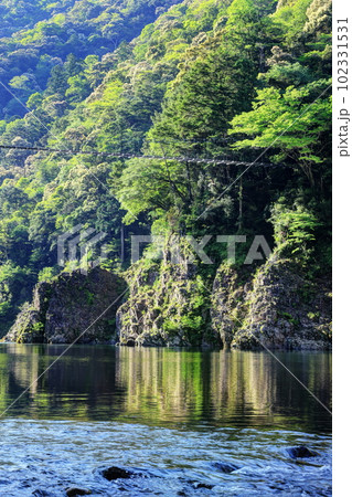 新緑の瀞峡 102331531