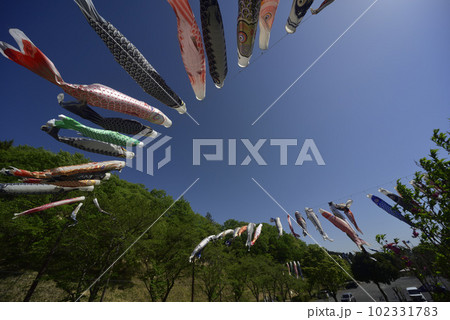 青空と鯉のぼり 102331783