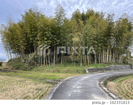 纏向遺跡(東田大塚古墳) 纏向遺跡(東田大塚古墳) 102331813