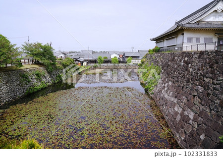 大阪　岸和田　岸和田城　二の丸跡（心技館）と蓮の堀（西方向、晩春） 102331833