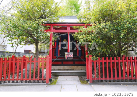 大阪 岸和田 三の丸神社 拝殿(晩春) 大阪 岸和田 三の丸神社 拝殿(晩春) 102331975