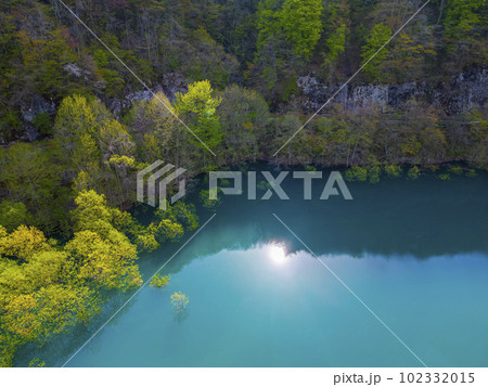 秋扇湖水没林 秋扇湖水没林 102332015