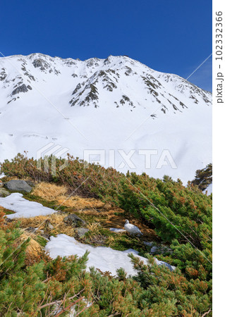 富山_雪深い立山連峰と雷鳥の絶景風景 102332366