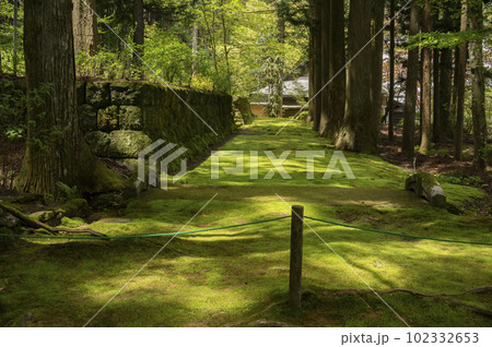 光前寺苔の古道 光前寺苔の古道 102332653